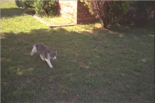 small_9400 0662 cew family etcIMG0008.webp